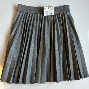 Zara Charcoal A-Line Pleated Skirt